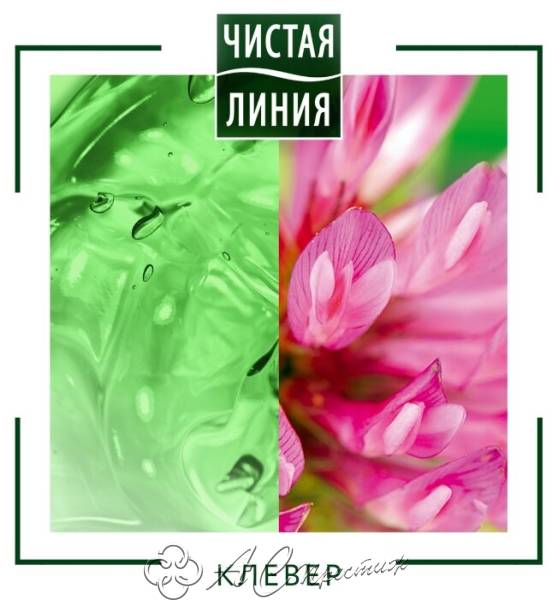 картинка ЧЛ Шампунь 250мл Клевер д/окраш.волос/12 Фирма АС