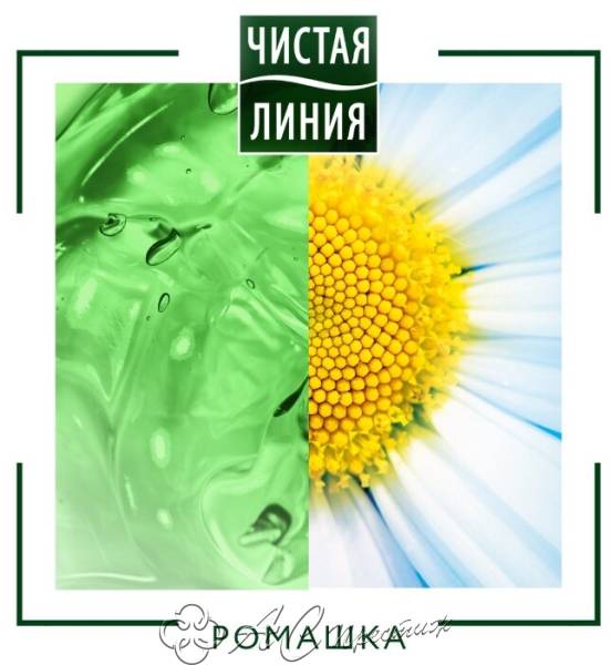 картинка ЧЛ Шампунь 400мл Ромашка восстан.д/сухих волос/12 Фирма АС